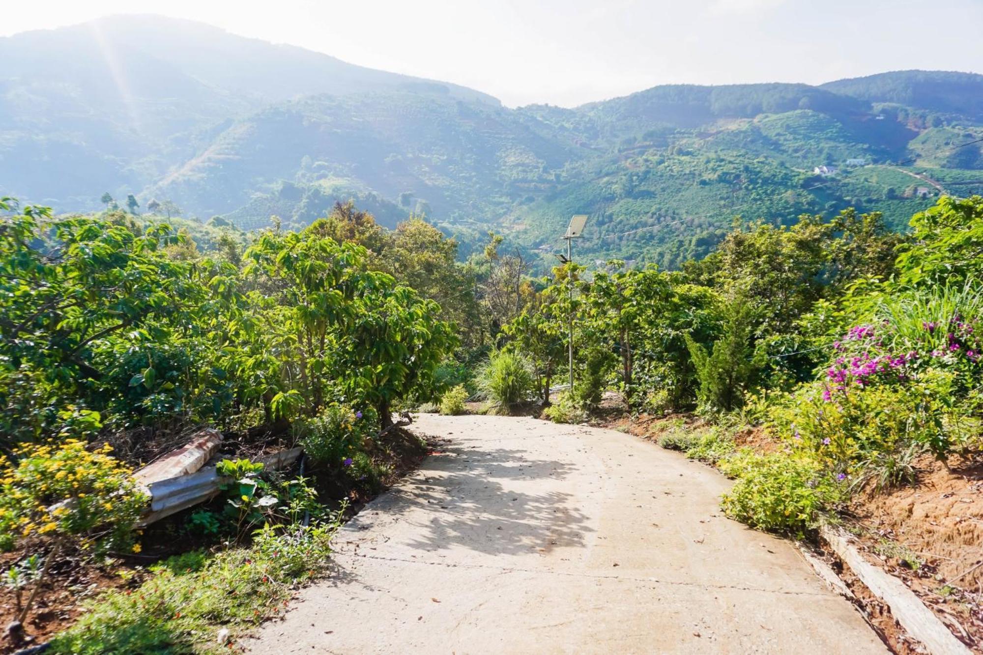 Farm Co Chu Tuan Ha Bed and Breakfast Dalat Exteriör bild